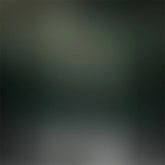 Lofaris Kalt Töne Von Dunkel Grün Foto Hintergrund Für Porträt